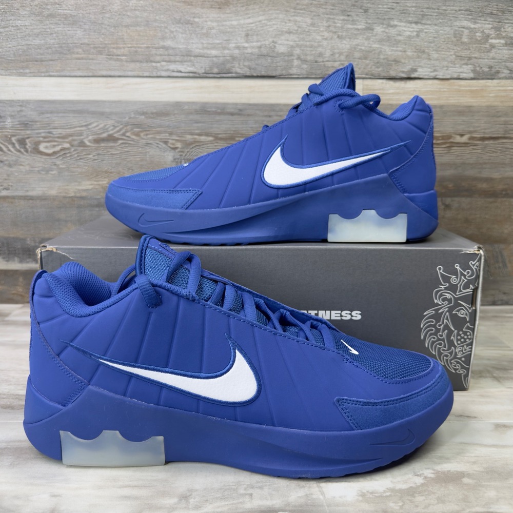 Nike LeBron Witness IX Mens Size 12 Basketball Shoes Game Royal Blue II7520-401